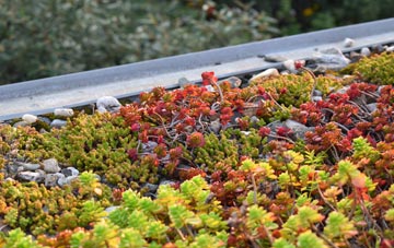 the cost of Greynor Isaf green roof installation