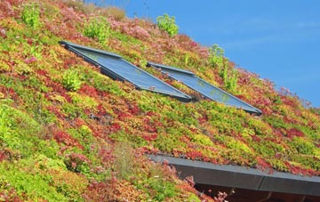 Greynor Isaf living roof systems