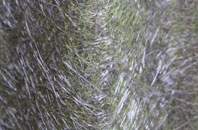 Greynor Isaf fibreglass roof work